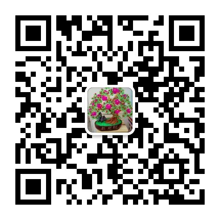 张家港久合盛地产花园浜店2的微信二维码